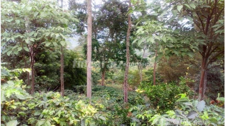 Finca en Venta – pohled 3