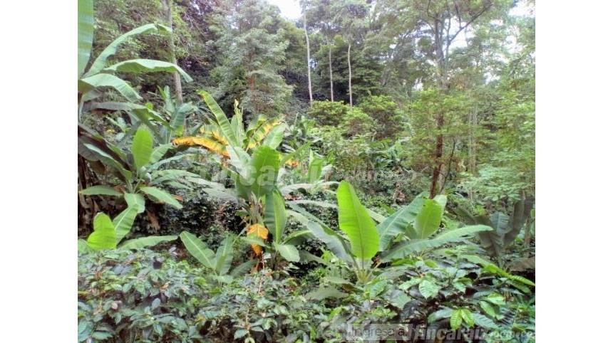 Finca en Venta – pohled 4