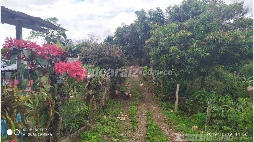 Finca en Venta – pohled 6