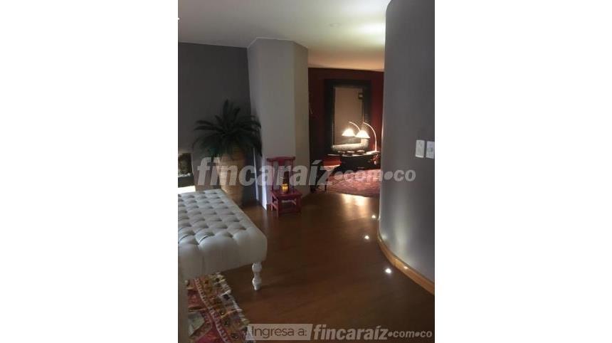 Piso – Bogotá, Pardo Rubio - Más