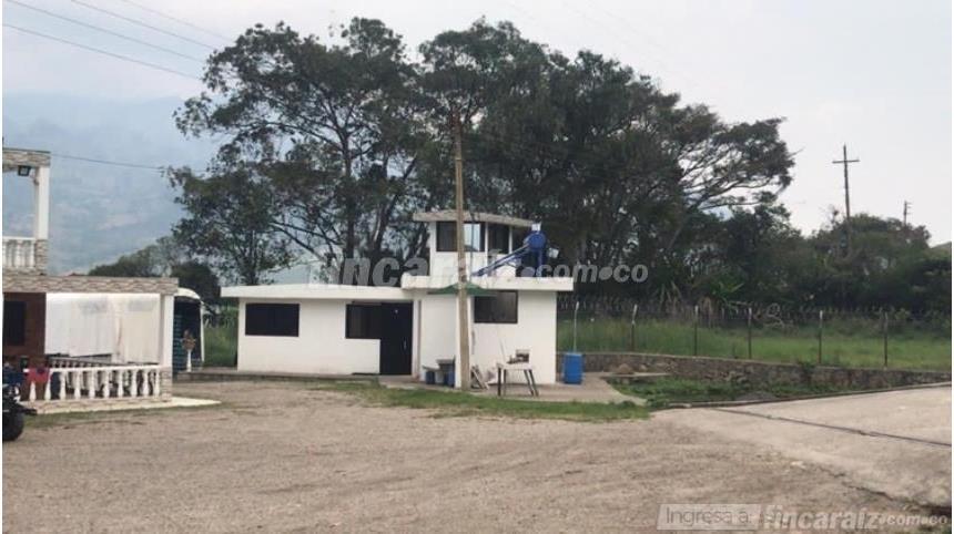 Finca en Venta - Ansicht 5