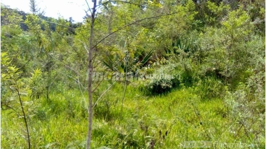 Finca en Venta - Widok 2