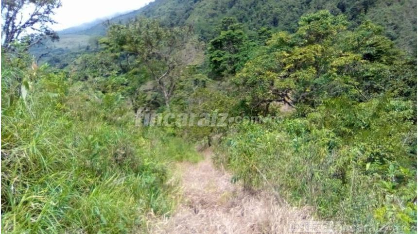 Finca en Venta - Widok 5