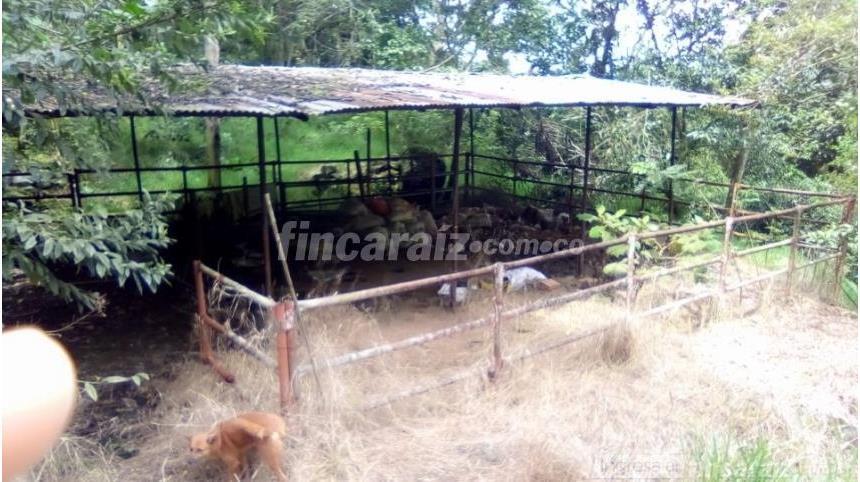 Finca en Venta - Widok 6