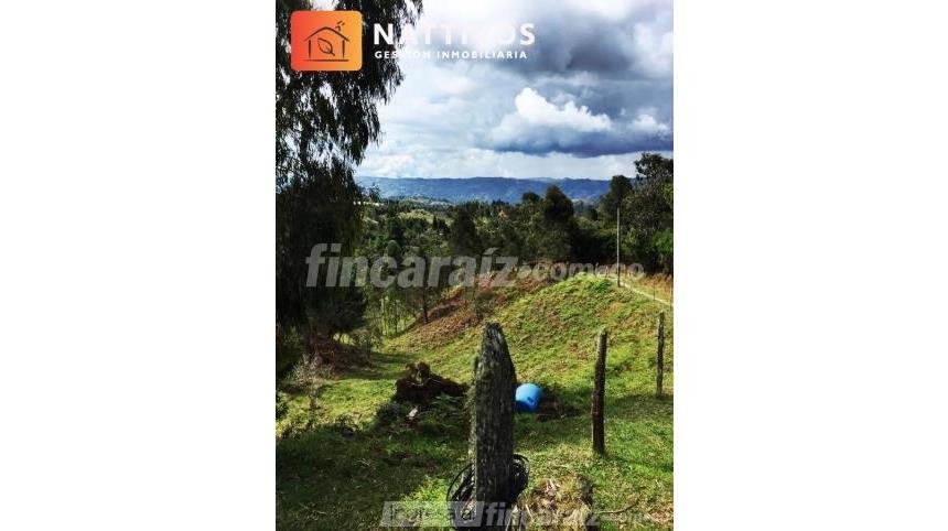 Lote en Venta - Widok 2