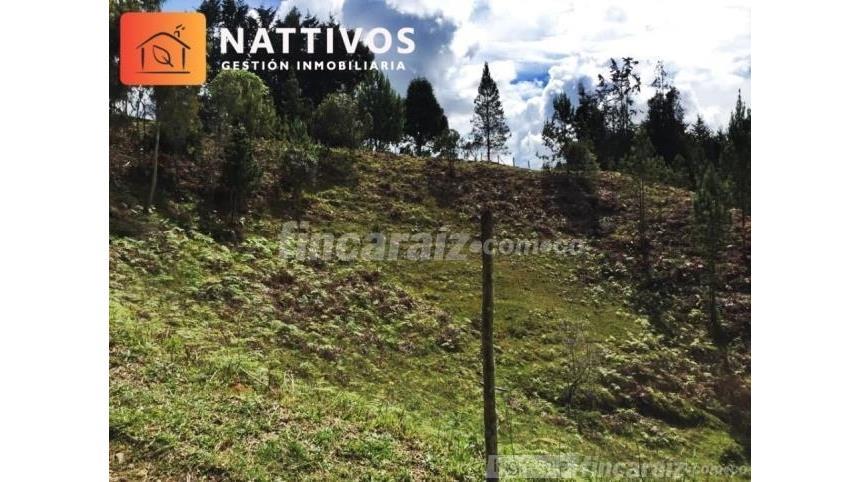 Lote en Venta - Widok 3