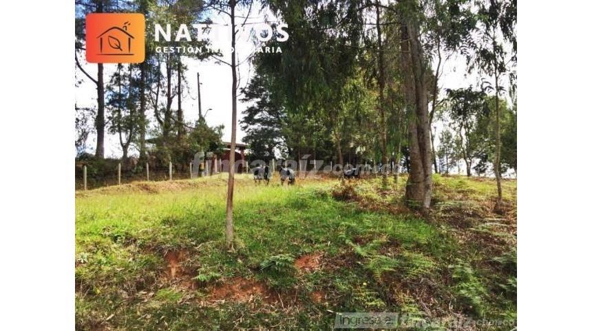 Lote en Venta - Widok 4