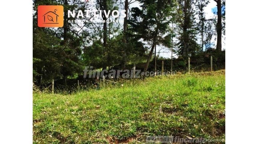 Lote en Venta - Widok 5