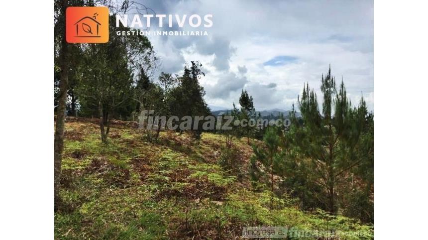 Lote en Venta - Widok 6