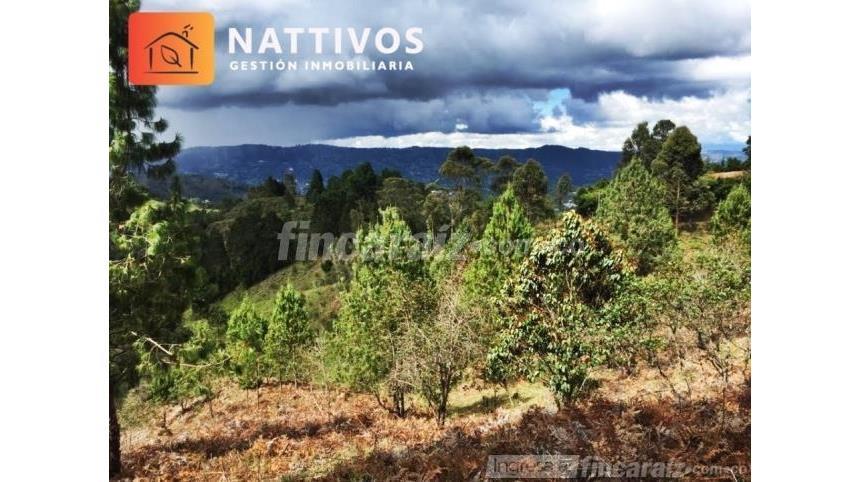 Lote en Venta - Więcej