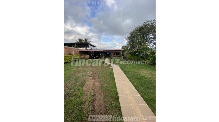 Finca en Venta - Skats 6