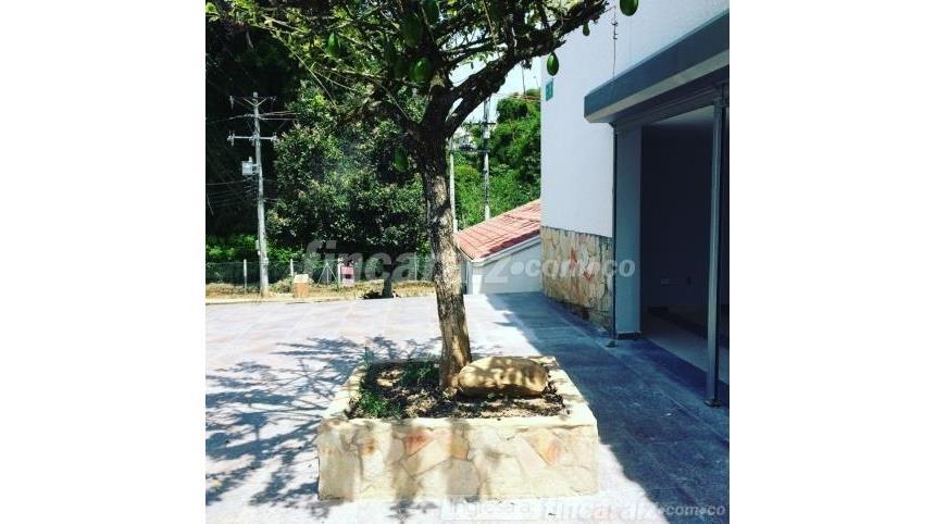 Local en Arriendo - Vista 3