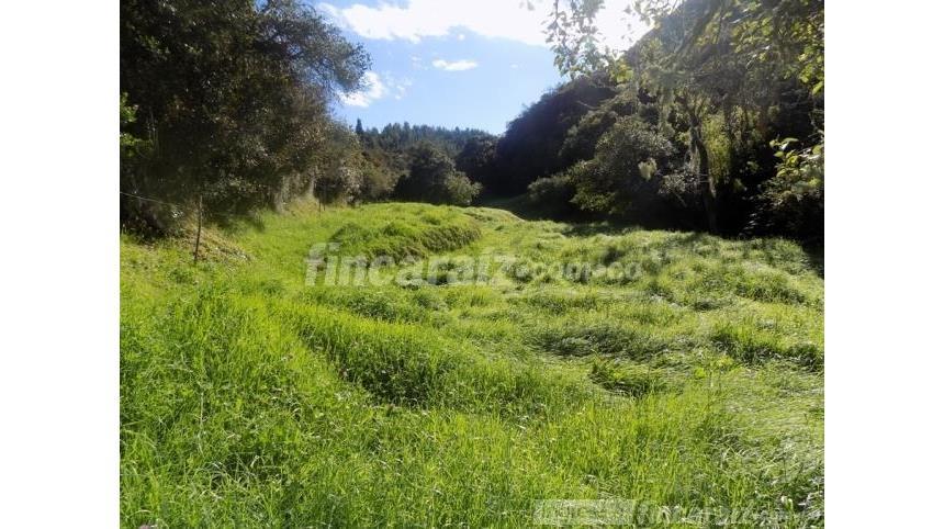 Finca en Venta – pohled 2