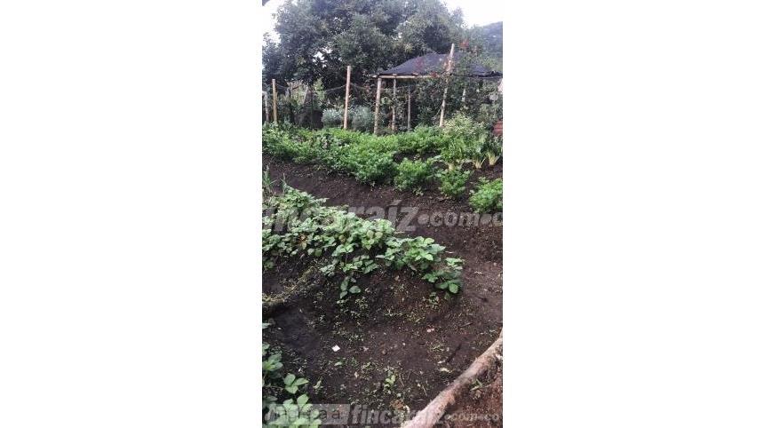 Finca en Venta – pohled 3