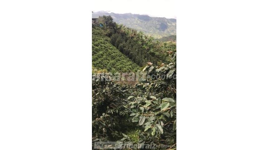 Finca en Venta – pohled 2