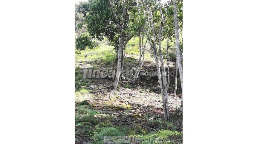 Casa Lote en Venta – pohled 4