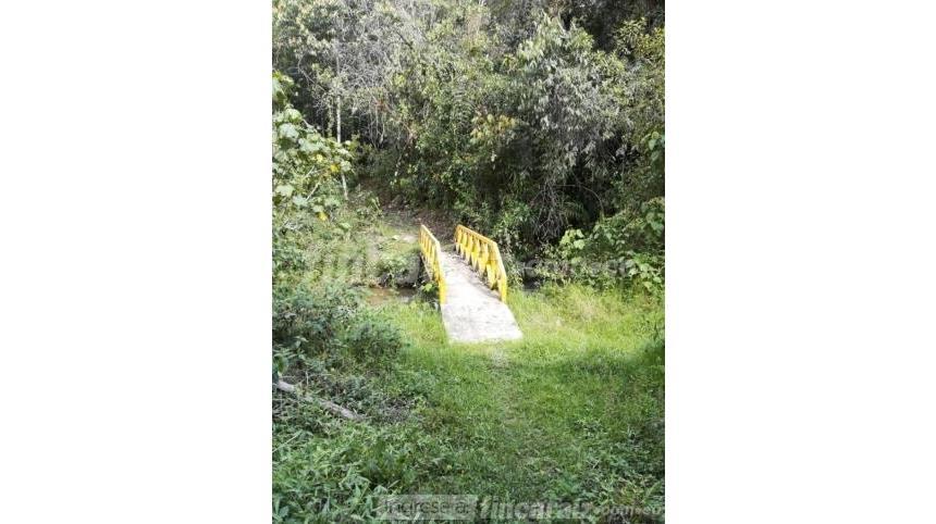 Casa Lote en Venta – další