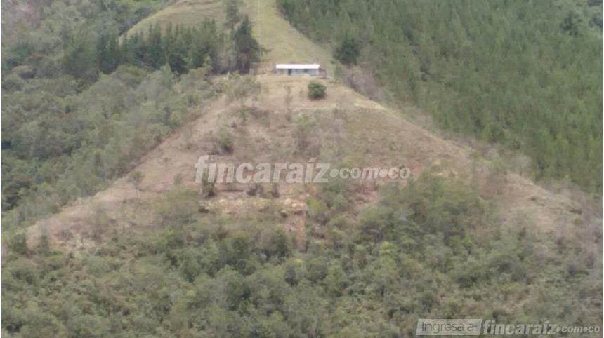 Casa Lote en Venta – pohled 5