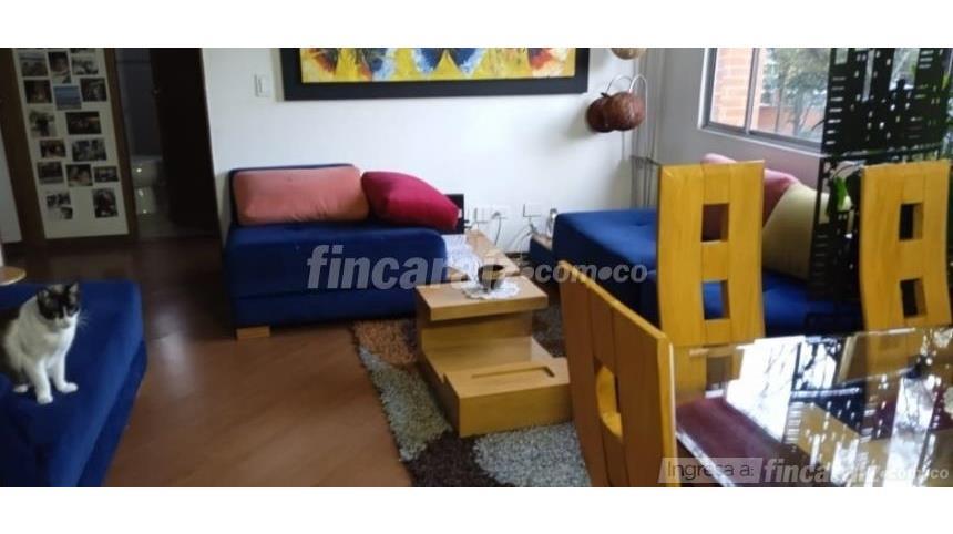 Piso – Bogotá, Localidad La Candelaria - Vista 3