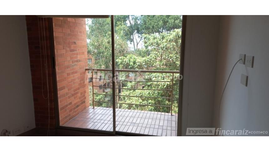 Piso – Bogotá, Pardo Rubio - Más