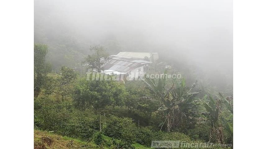 Finca en Venta – pohled 2
