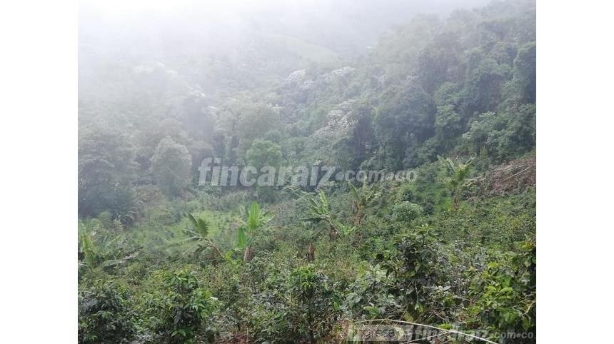Finca en Venta – pohled 3