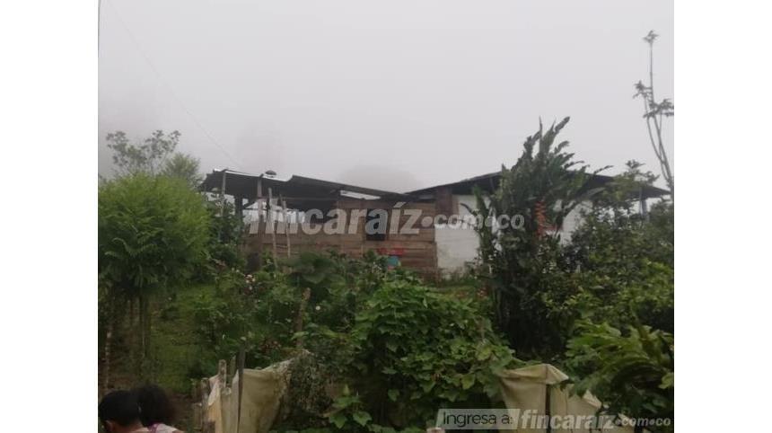 Finca en Venta – pohled 4