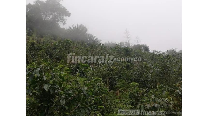 Finca en Venta – pohled 5