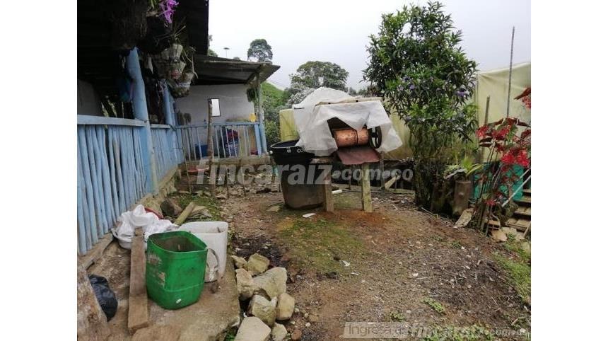 Finca en Venta – pohled 6