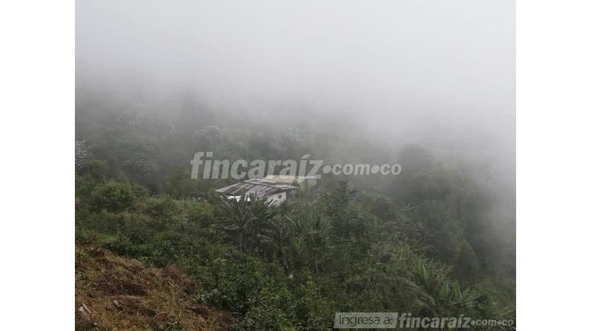 Finca en Venta – další