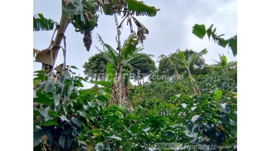 Finca en Venta – pohled 2