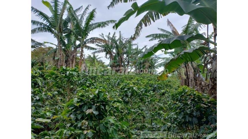 Finca en Venta – pohled 5