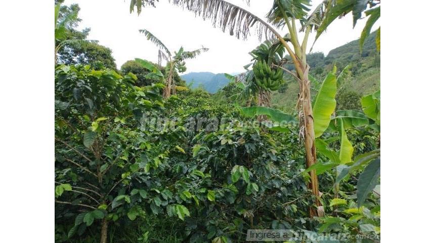 Finca en Venta – pohled 3