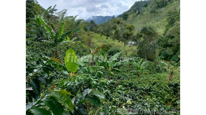 Finca en Venta – pohled 6
