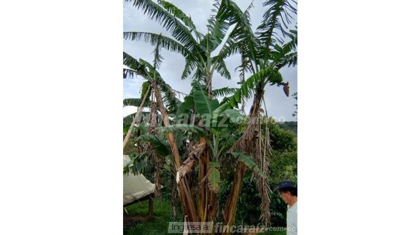 Finca en Venta – pohled 4