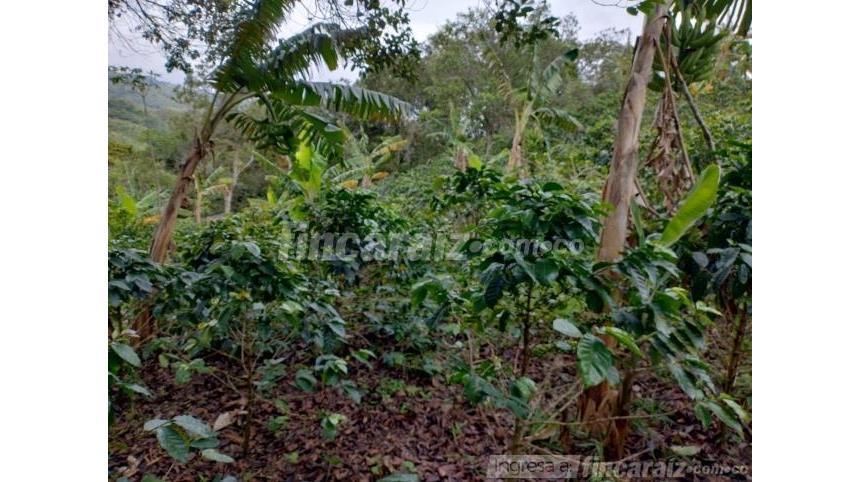 Finca en Venta – další