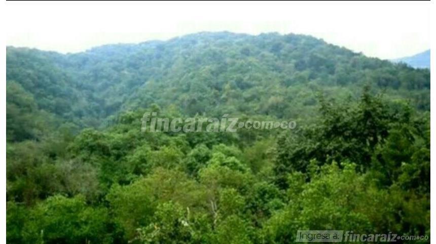 Finca en Venta