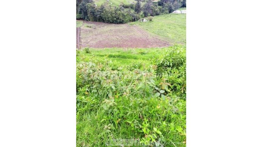 Finca en Venta