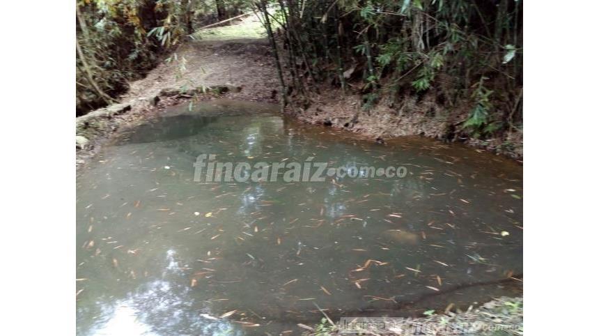 Casa Lote en Venta – pohled 4