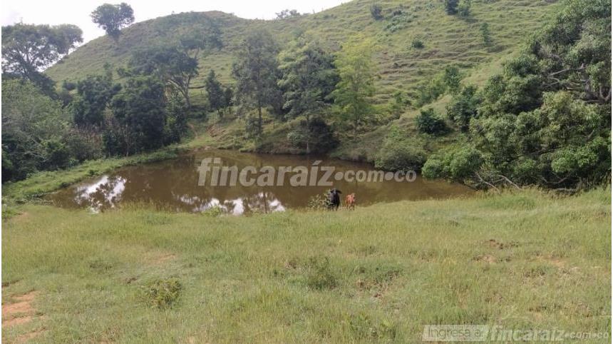 Finca en Venta - Ansicht 2