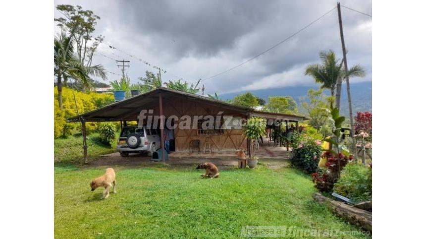 Finca en Venta