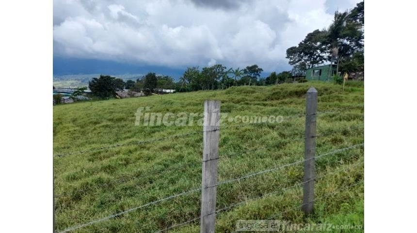 Finca en Venta - View 2