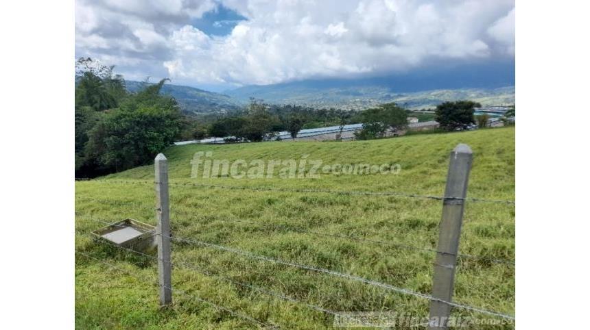 Finca en Venta - View 3