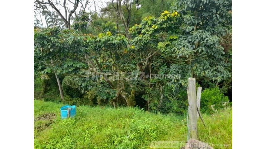 Finca en Venta - View 6