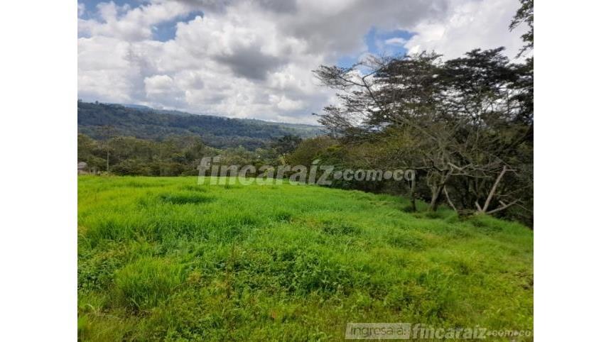 Finca en Venta - More