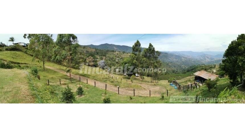 Finca en Venta - Ansicht 6