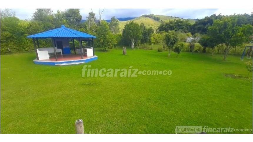 Piso – El Carmen, Borrero Ayerbe - Vista 2