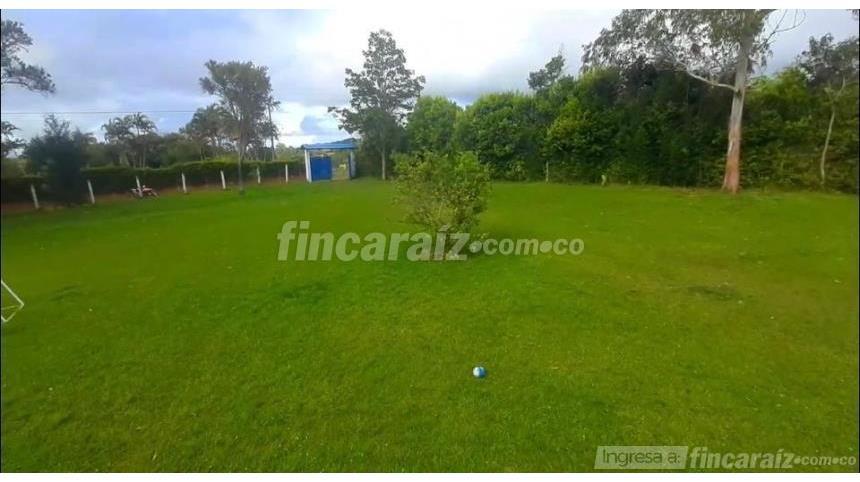 Piso – El Carmen, Borrero Ayerbe - Vista 3