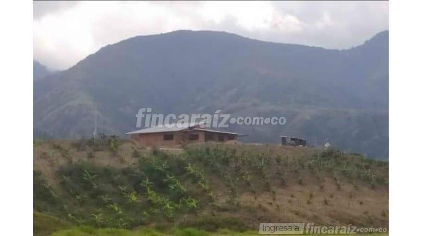 Finca en Venta