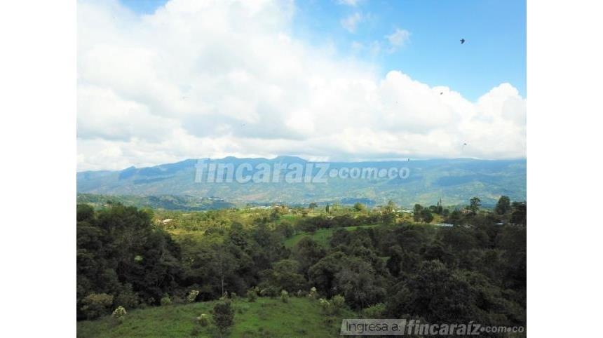 Finca en Venta – pohled 2